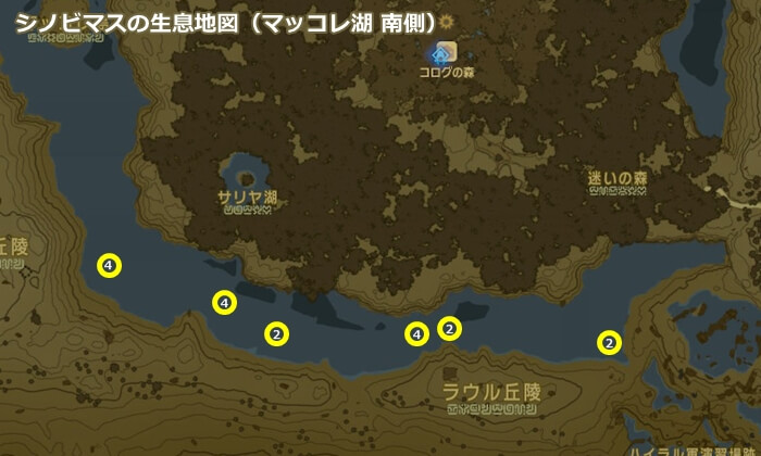 シノビマスの生息地図（マッコレ湖 南側）