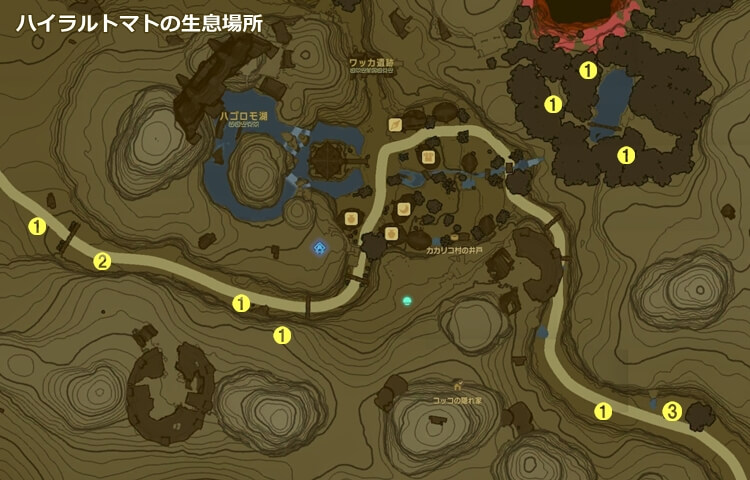 ハイラルトマトの生息場所の地図(カカリコ村)