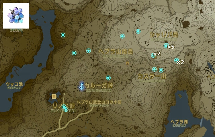 冷気の実の生息場所の地図（ヘブラ山南岳周辺）