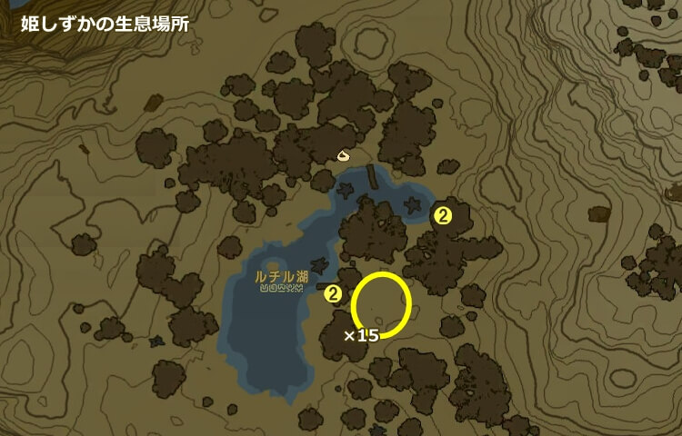 姫しずかの生息場所の地図（ルチル湖）